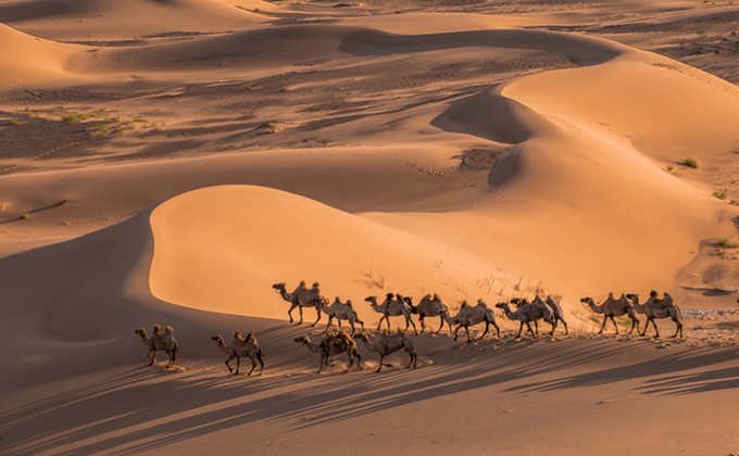 Mongolian Landscape